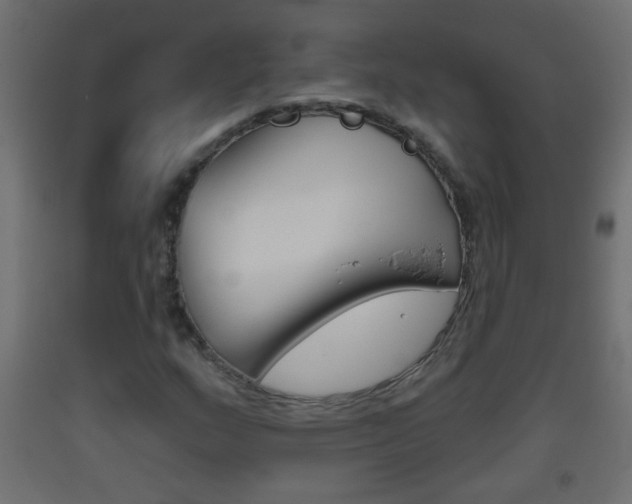 X0000093501159200710121037