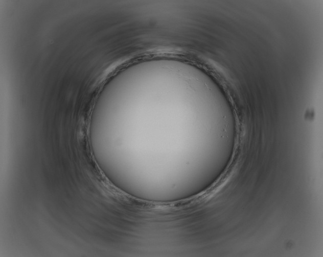 X0000093501161200710121037