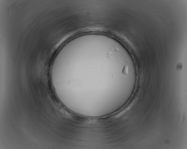 X0000093501162200710121037