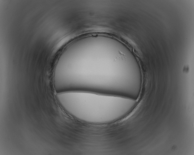 X0000093501163200710121037
