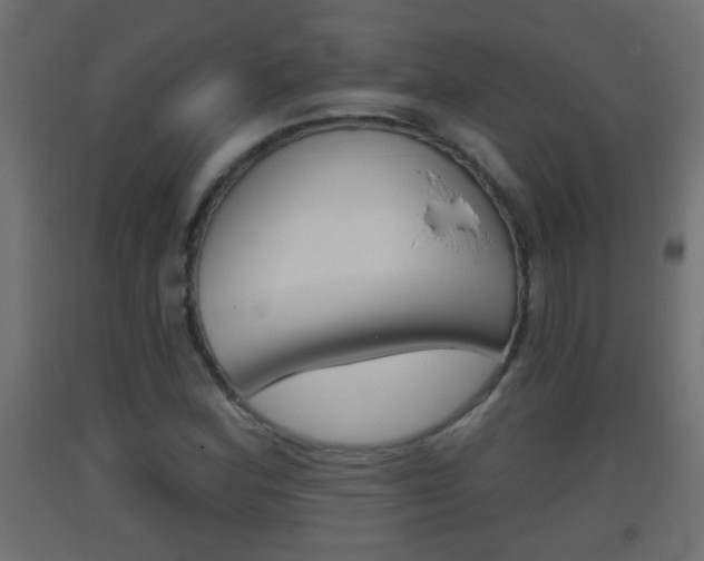 X0000093501164200710121037