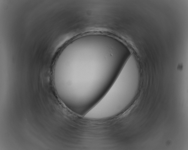 X0000093501165200710121037