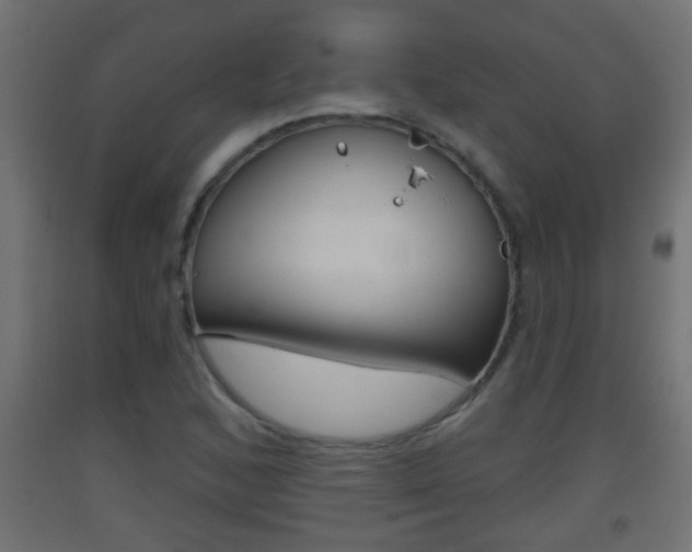 X0000093501168200710121037