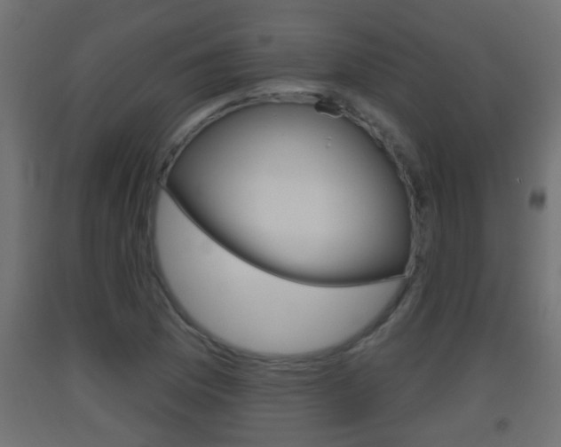 X0000093501169200710121037