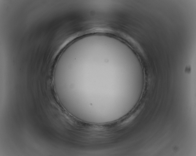 X0000093501170200710121037