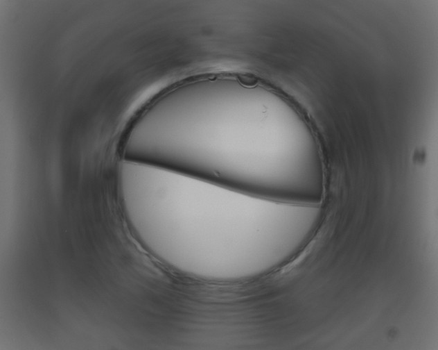 X0000093501171200710121037