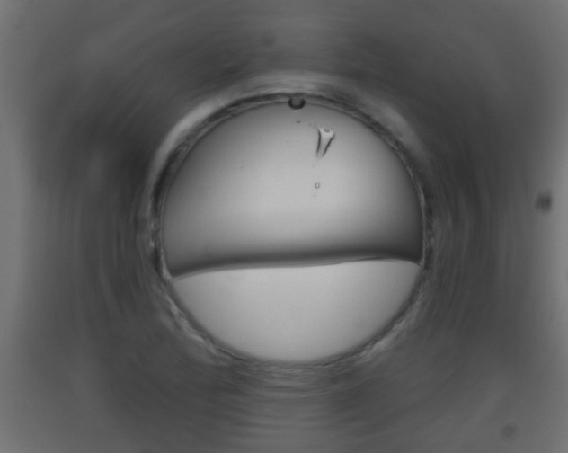 X0000093501172200710121037
