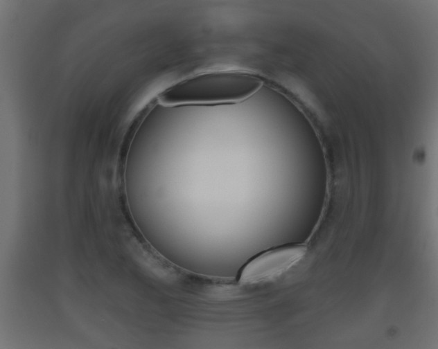 X0000093501173200710121037
