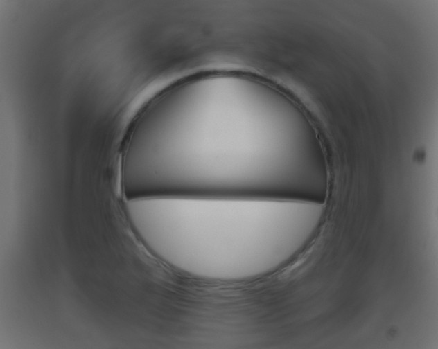 X0000093501175200710121036