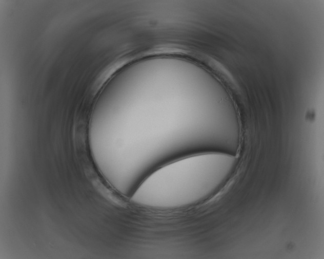 X0000093501177200710121036