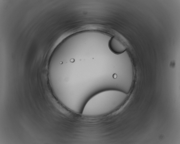 X0000093501178200710121036