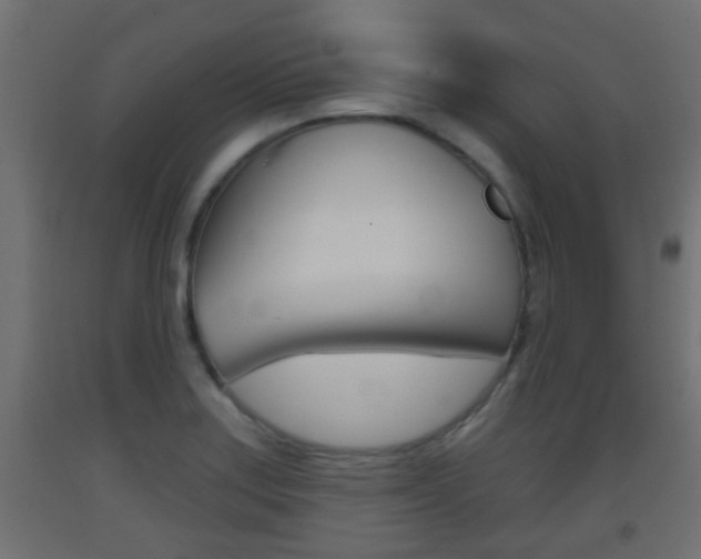 X0000093501179200710121036