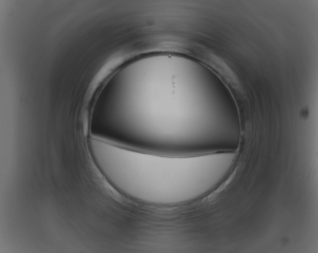 X0000093501180200710121036