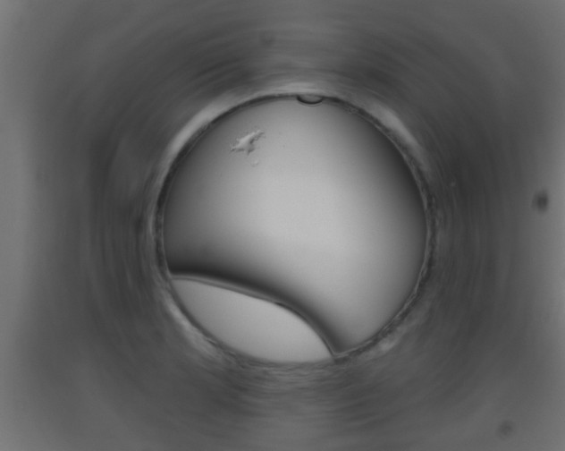 X0000093501181200710121036