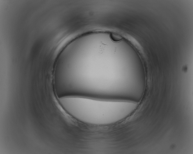 X0000093501183200710121036