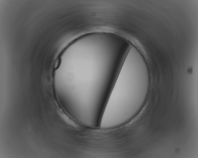 X0000093501184200710121036