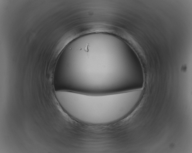 X0000093501185200710121036