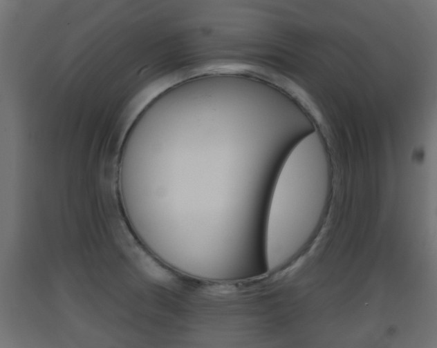 X0000093501186200710121036