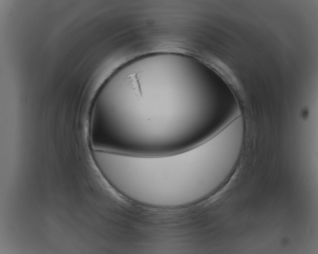 X0000093501188200710121036