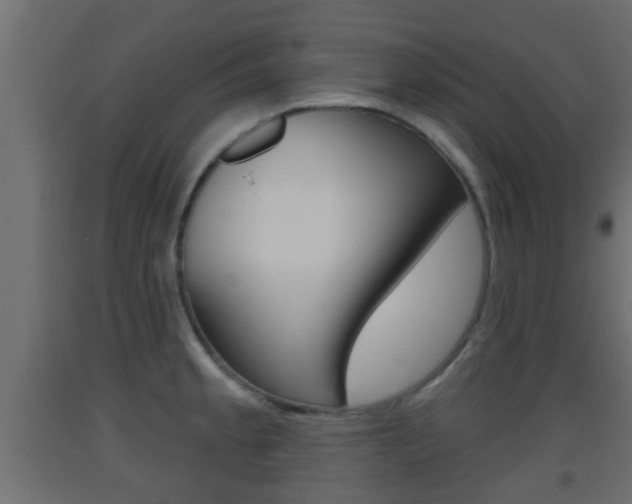 X0000093501189200710121036