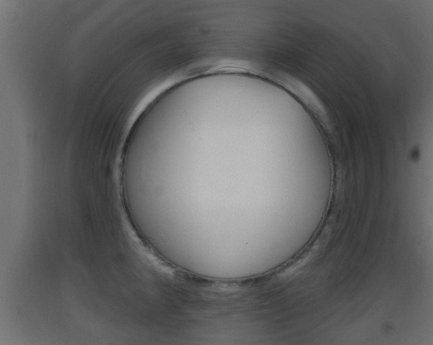 X0000093501190200710121036