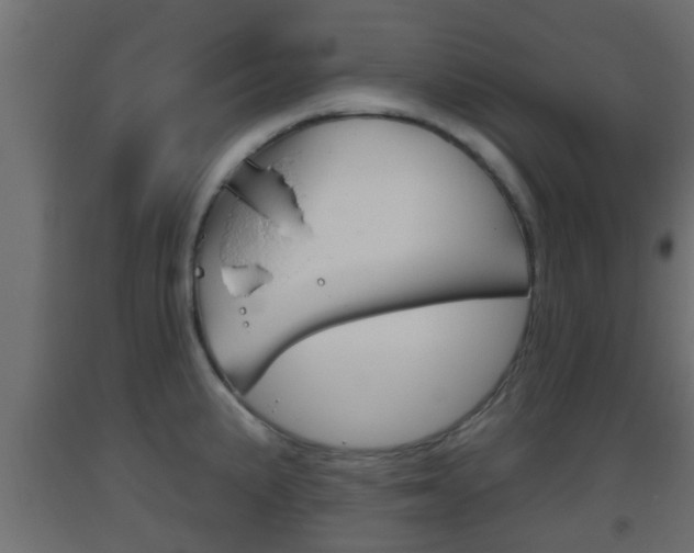 X0000093501191200710121036