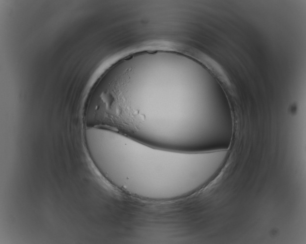 X0000093501192200710121036