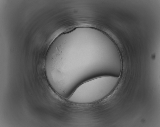 X0000093501193200710121036