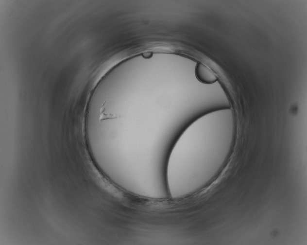 X0000093501194200710121036