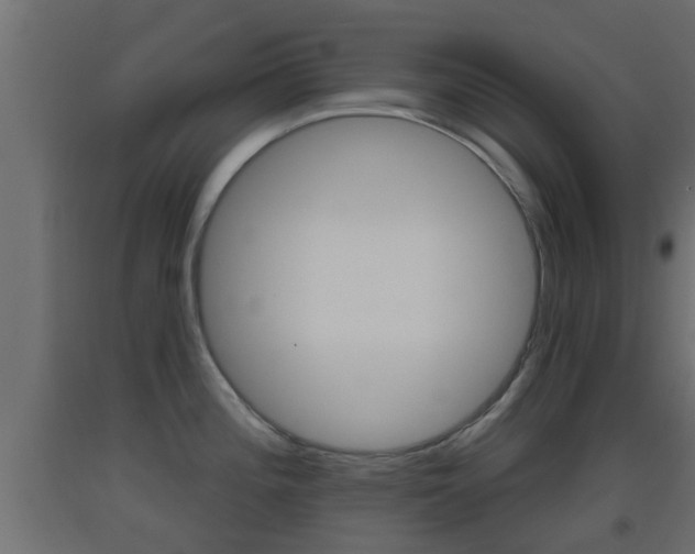 X0000093501196200710121036