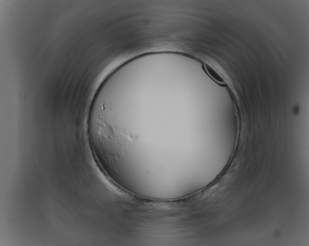 X0000093501197200710121036