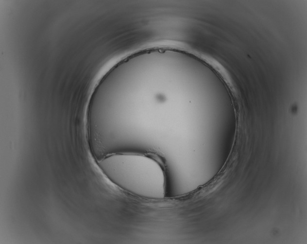 X0000093501199200710121036