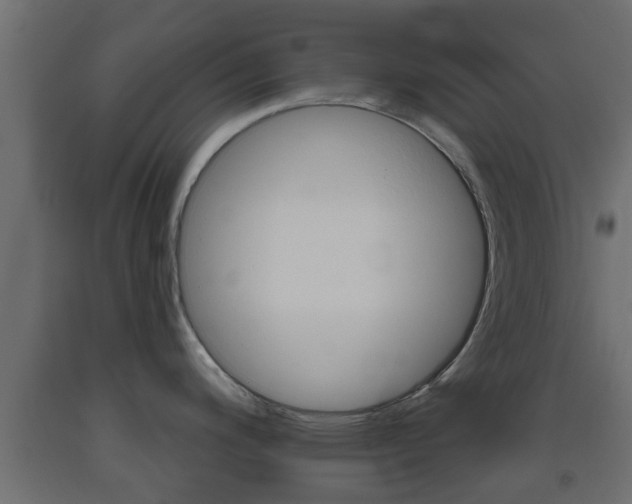 X0000093501200200710121036