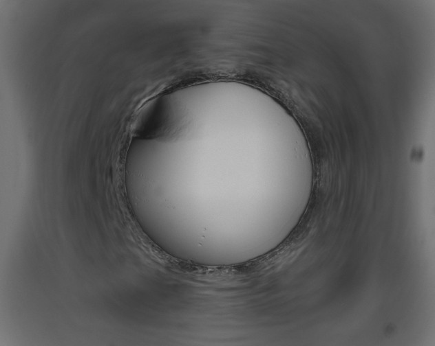 X0000093501201200710121036