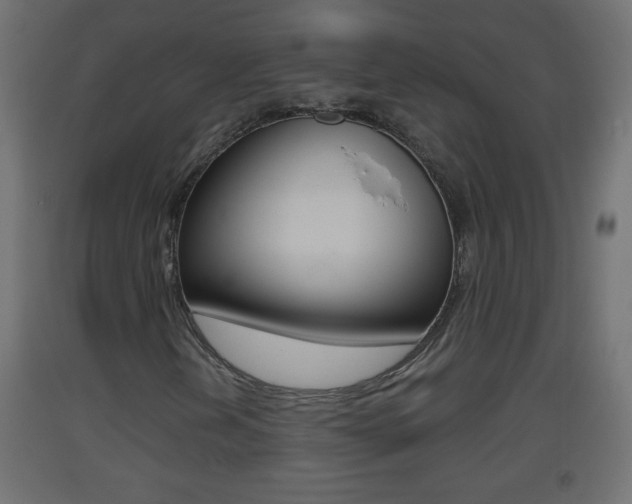 X0000093501202200710121036