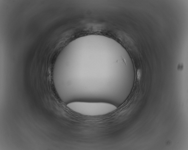 X0000093501203200710121036