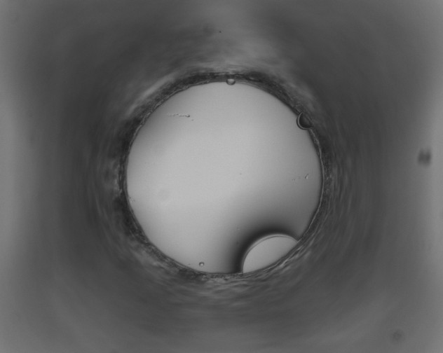 X0000093501205200710121036