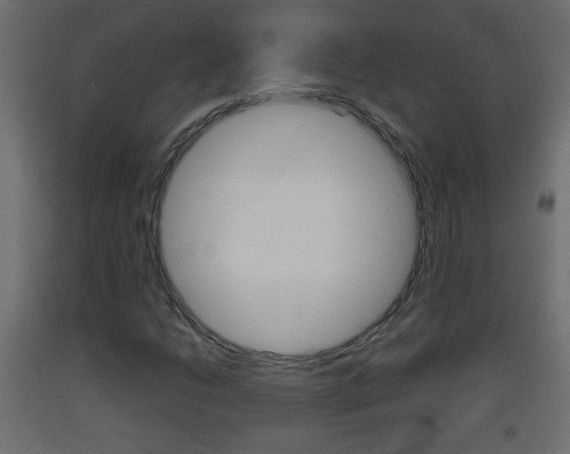 X0000093501206200710121036