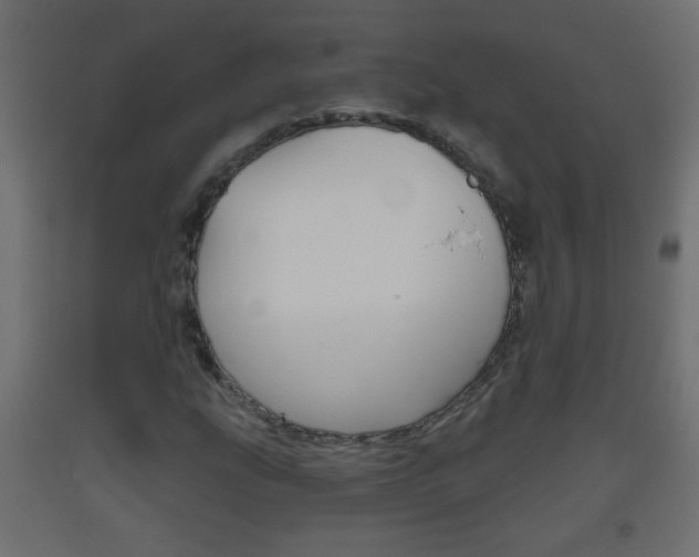 X0000093501207200710121036