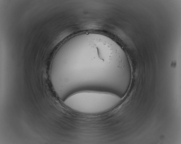 X0000093501209200710121036