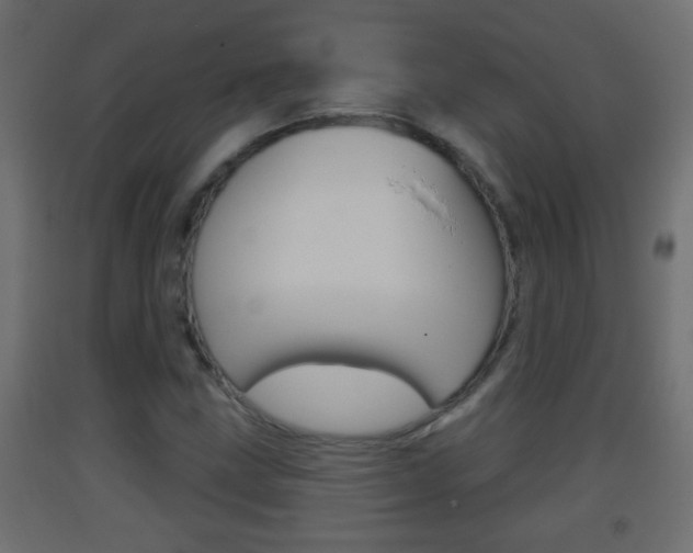 X0000093501211200710121036