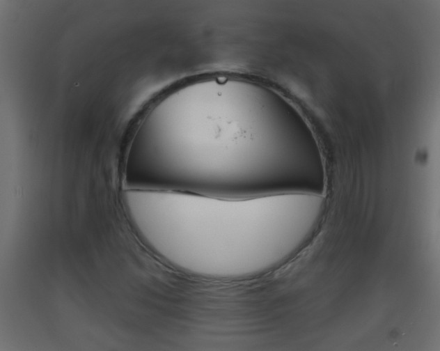 X0000093501214200710121036