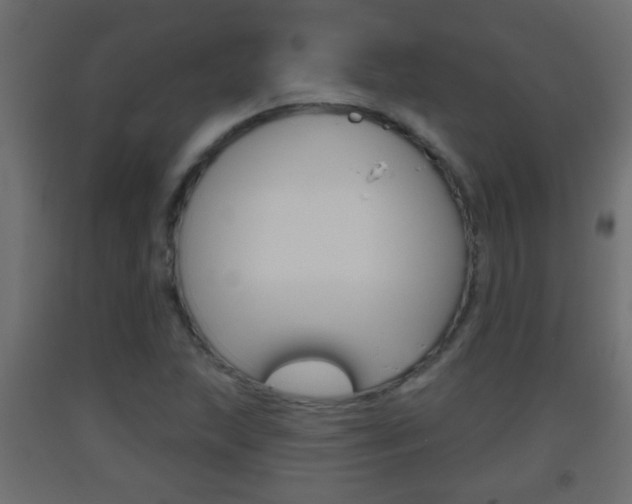 X0000093501215200710121036