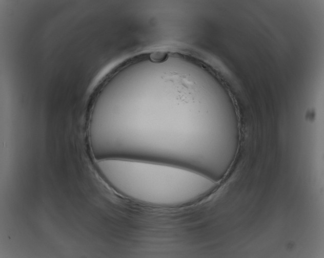 X0000093501216200710121036
