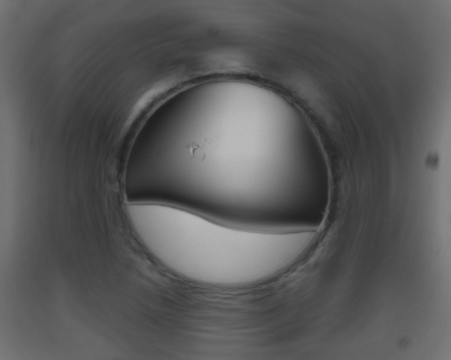X0000093501218200710121036