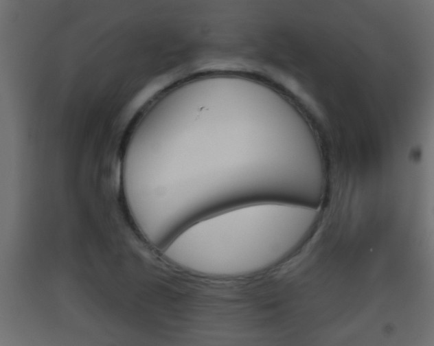 X0000093501221200710121036