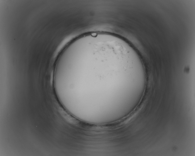 X0000093501224200710121036