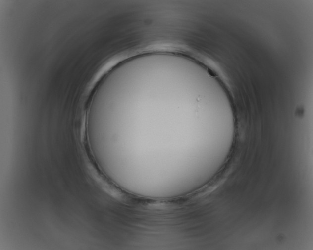 X0000093501227200710121036