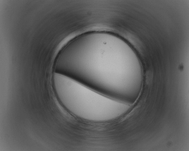 X0000093501229200710121036