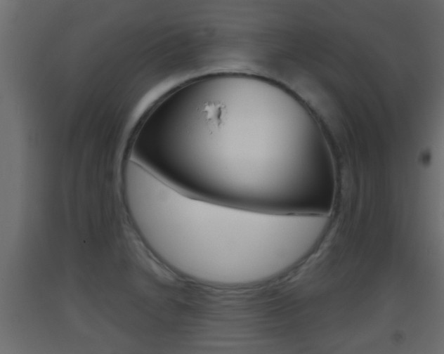 X0000093501230200710121036